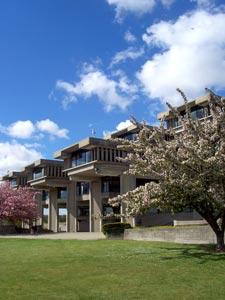 Photo of UMassD library